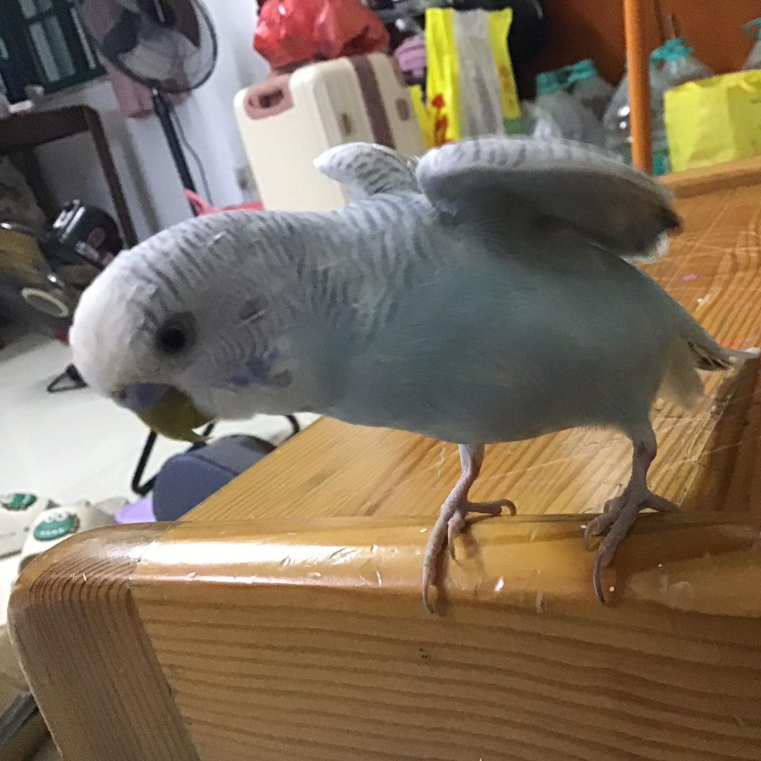 爱你😘
