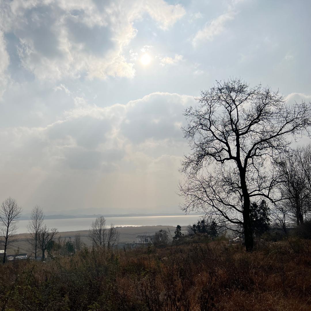 虎哥（学习剪辑）