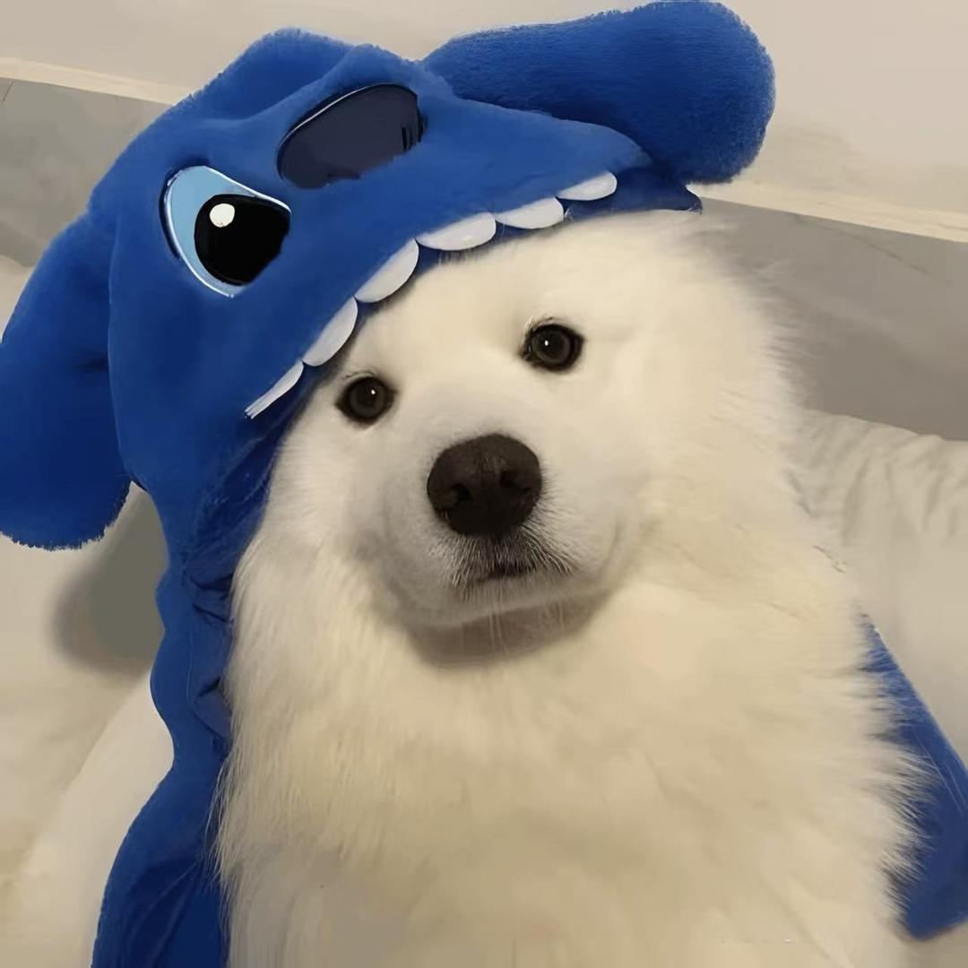 ·崽崽☃️