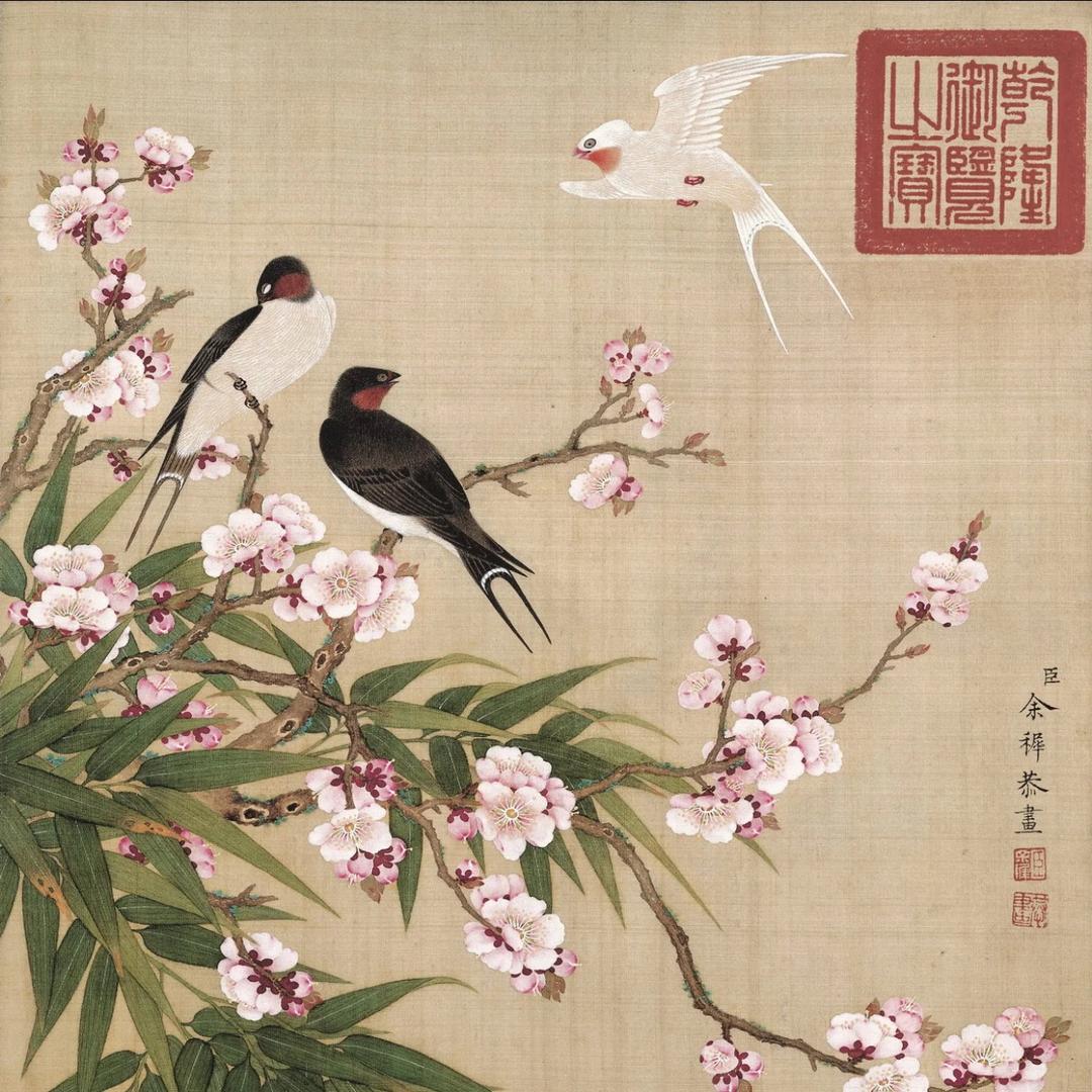 实力老拍行在线征集