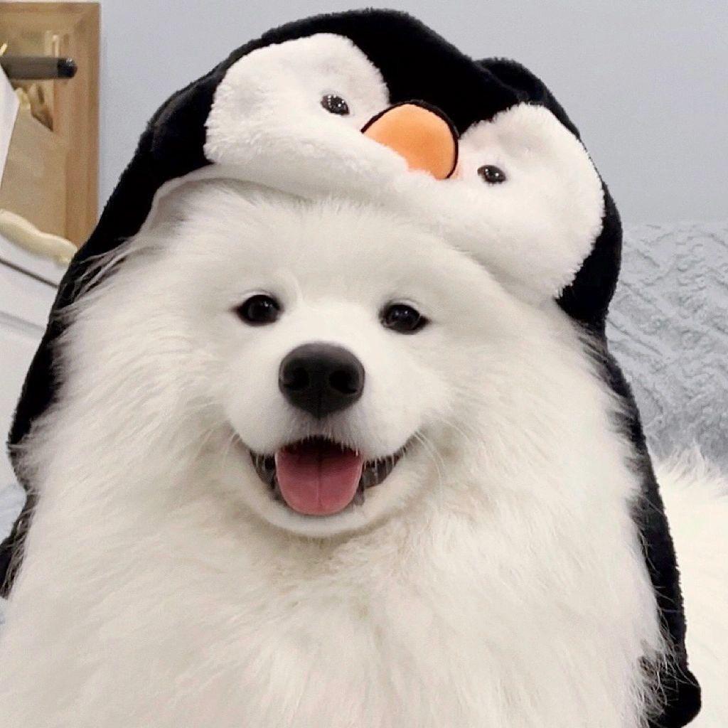_佚橙