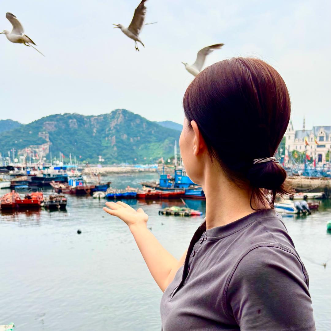 宛如初见-苏苏🎀