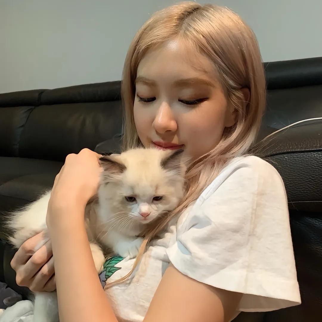 我的欣