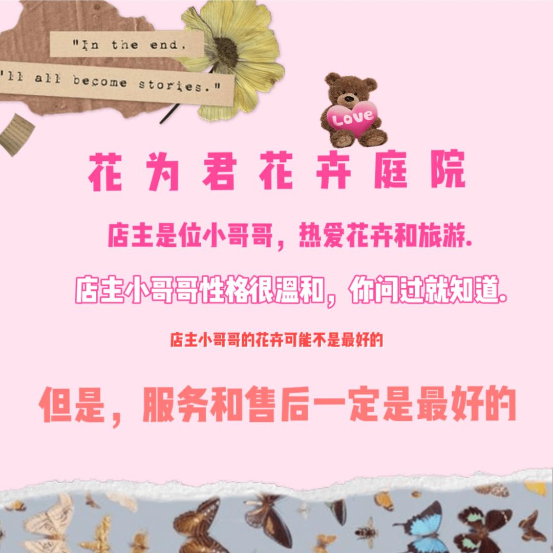 花为君花卉庭院