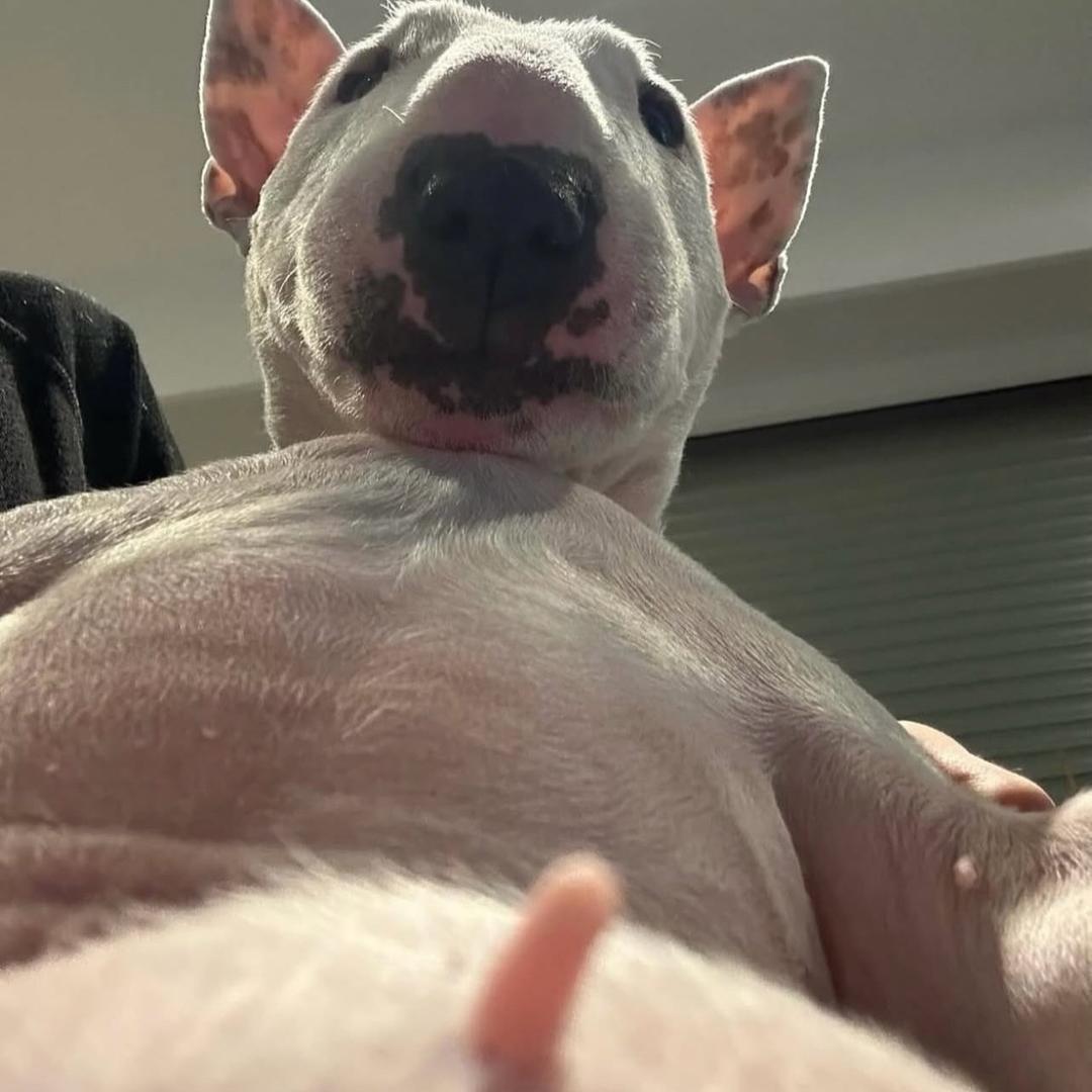 在超市买水果被误会在裆里藏甘蔗