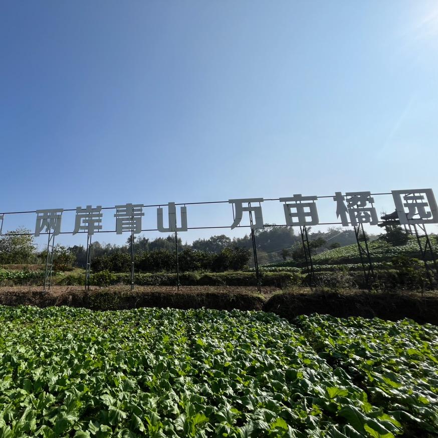 海泽果品