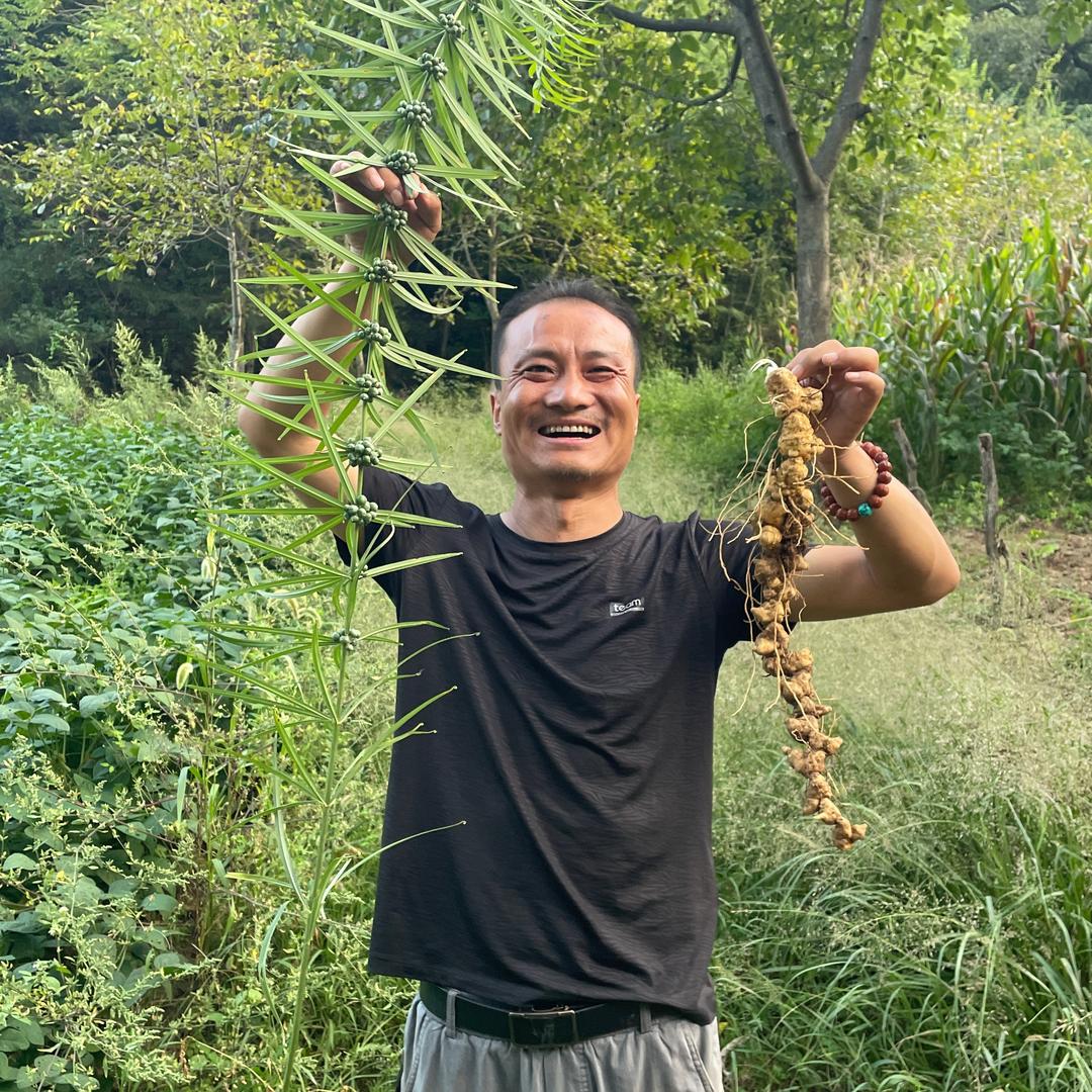 秦岭草本•助农