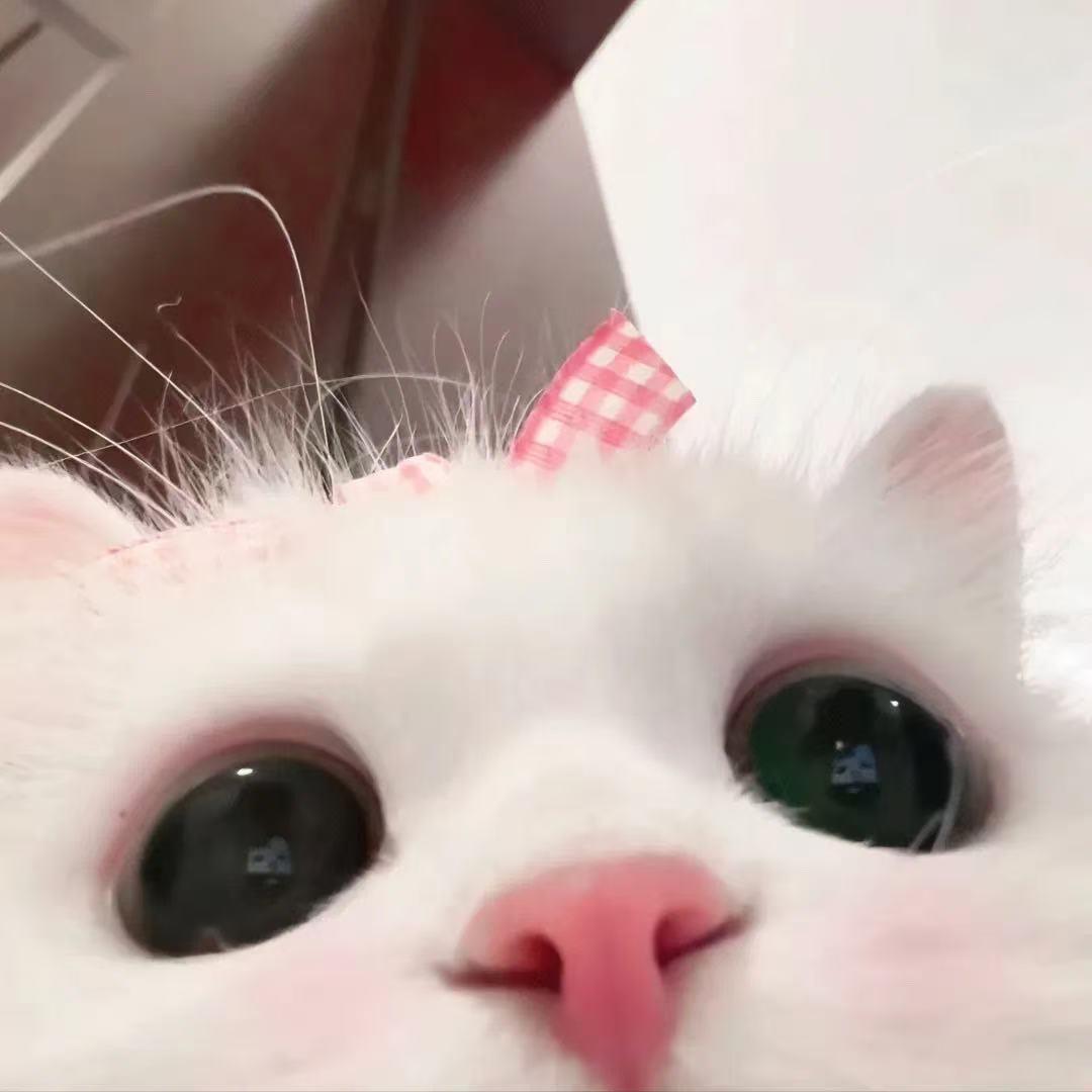 小桃.