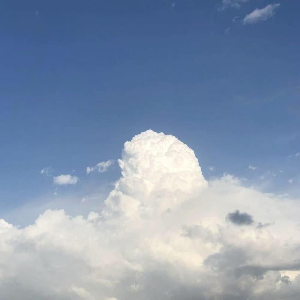 果冻13（抓大熊）