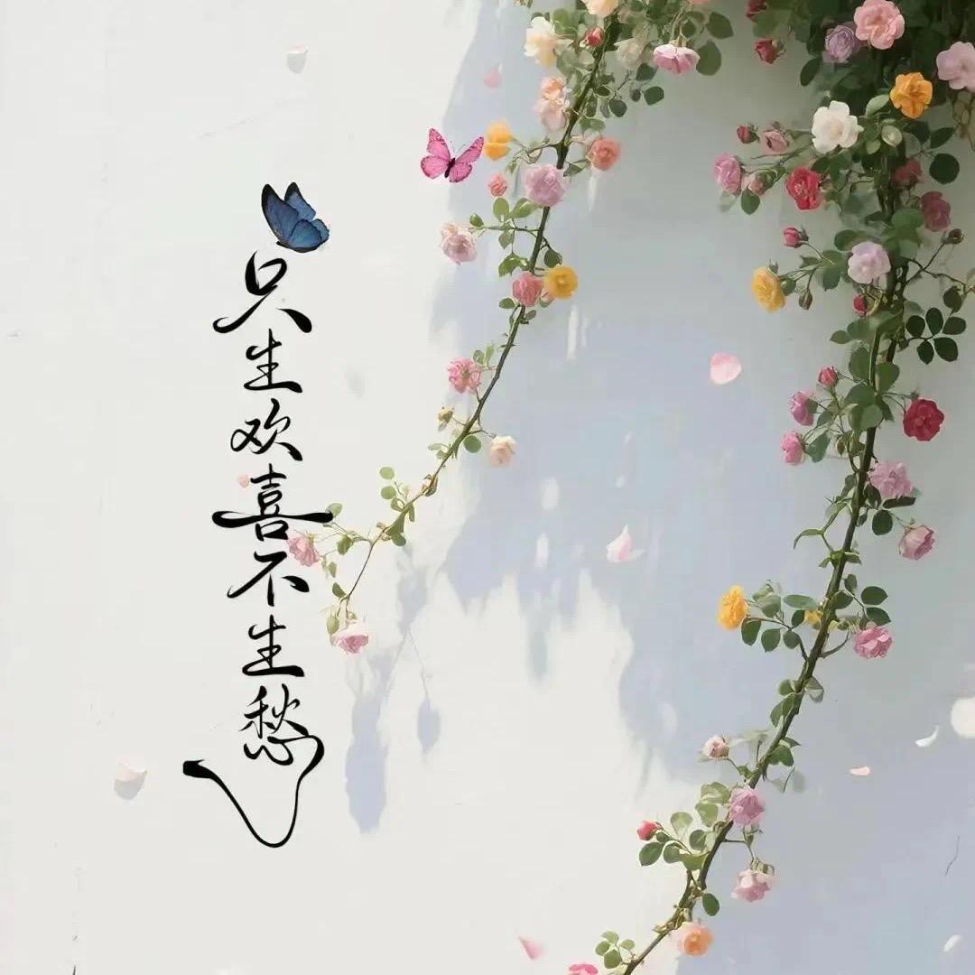 是小晴呀💕