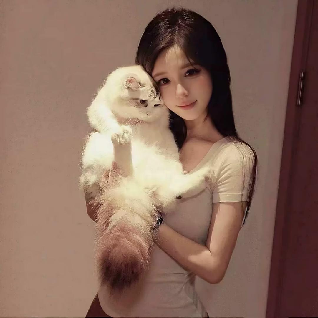 周肥猫