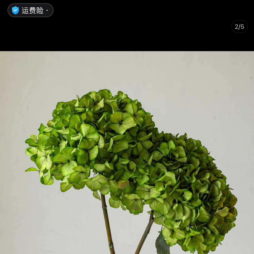 柑香佛手柑记