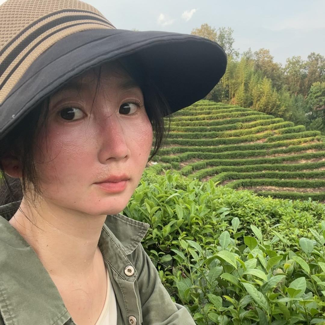 信阳小毛尖