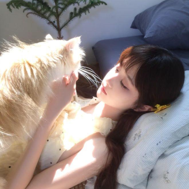鸡翅猫猫～