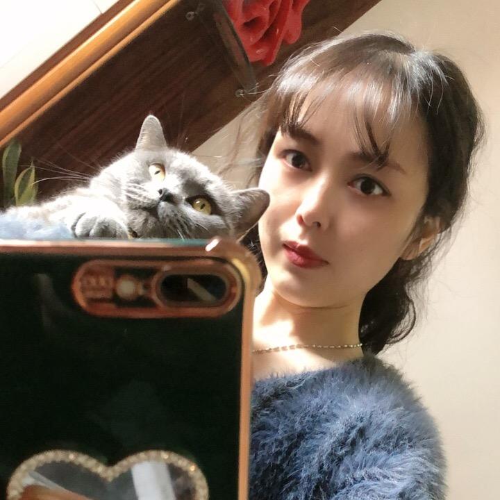 CAT🐱