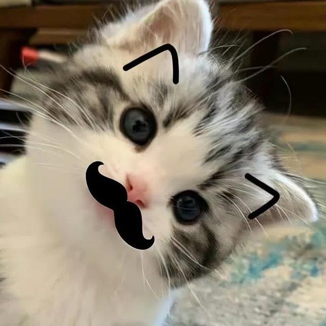 用户小猫
