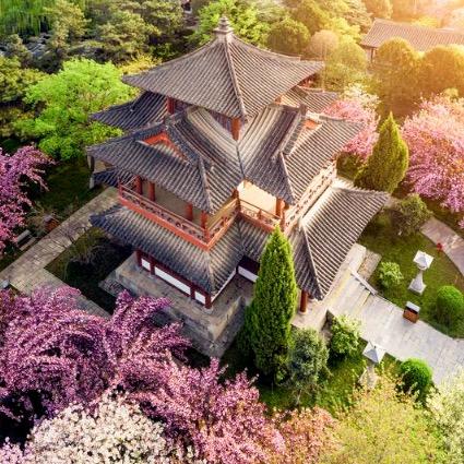 西安旅游摄影跟拍🧧王哪儿去