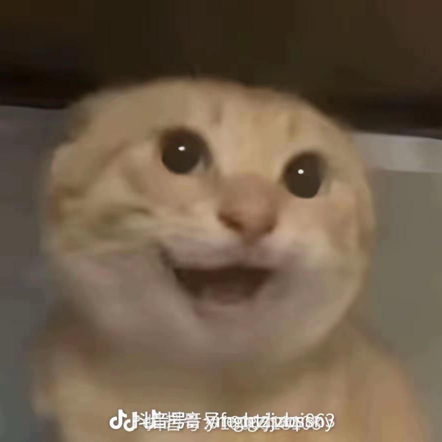 夏天回不来
