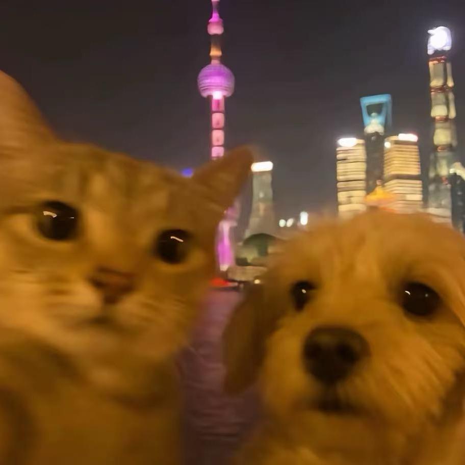 啊偶