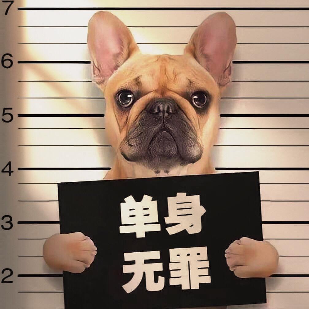 长沙商务主理人楚少