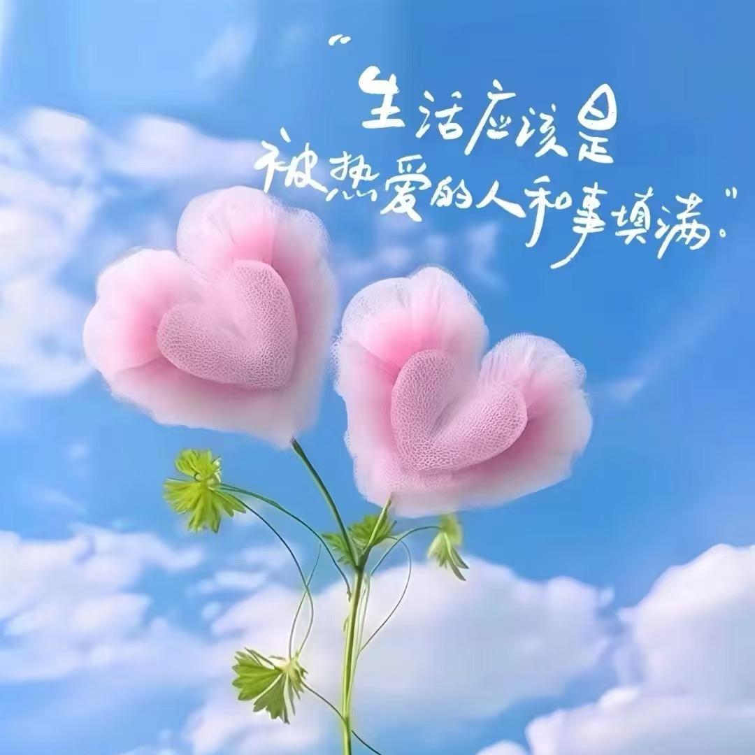 开心姐