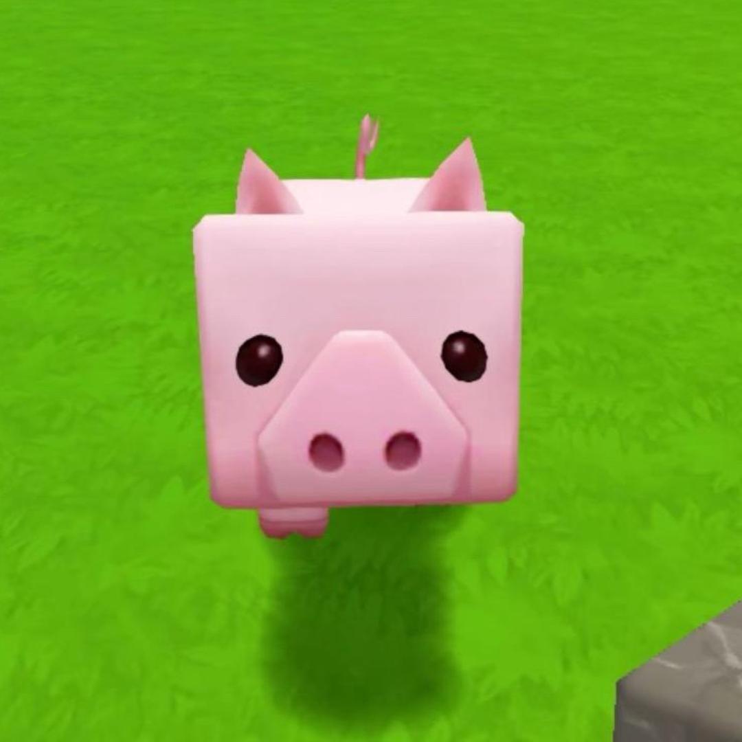 苔
