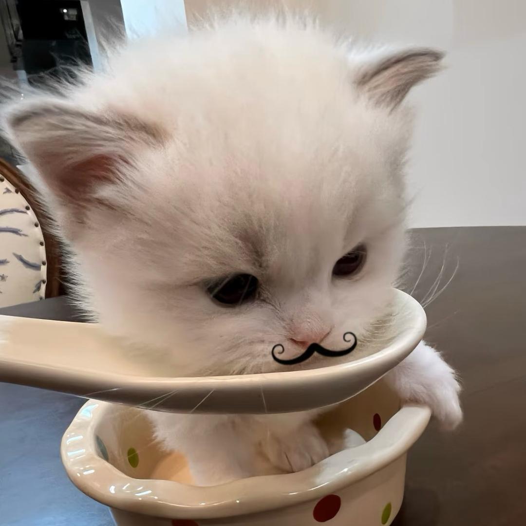 一个忧郁的煎蛋