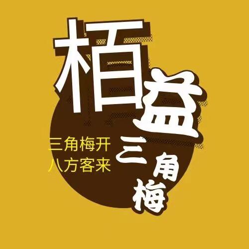栢益三角梅
