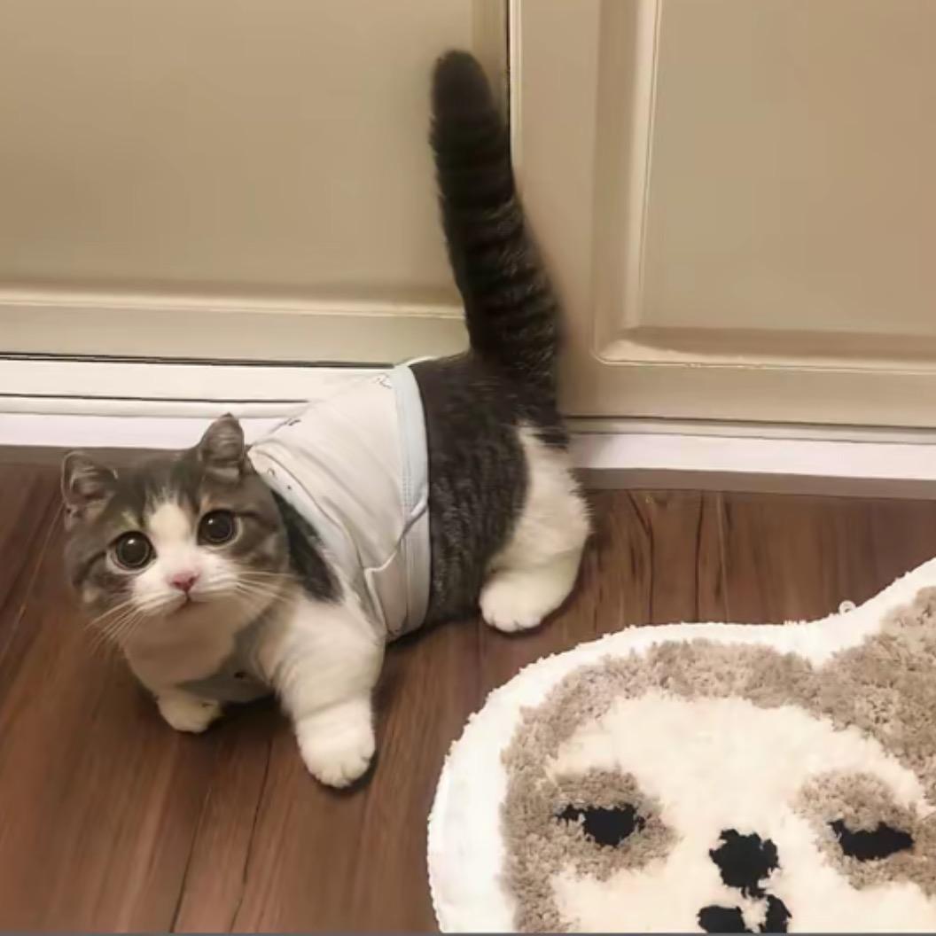 嘉萌