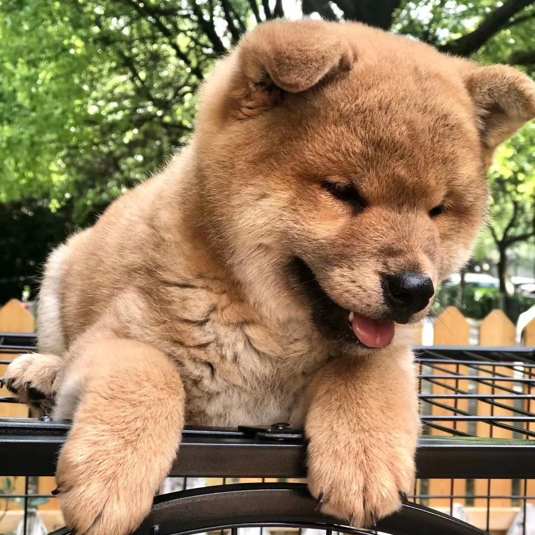 六一的快乐生活
