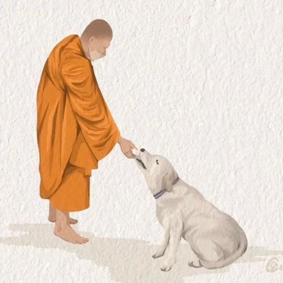 爱犬狗哥