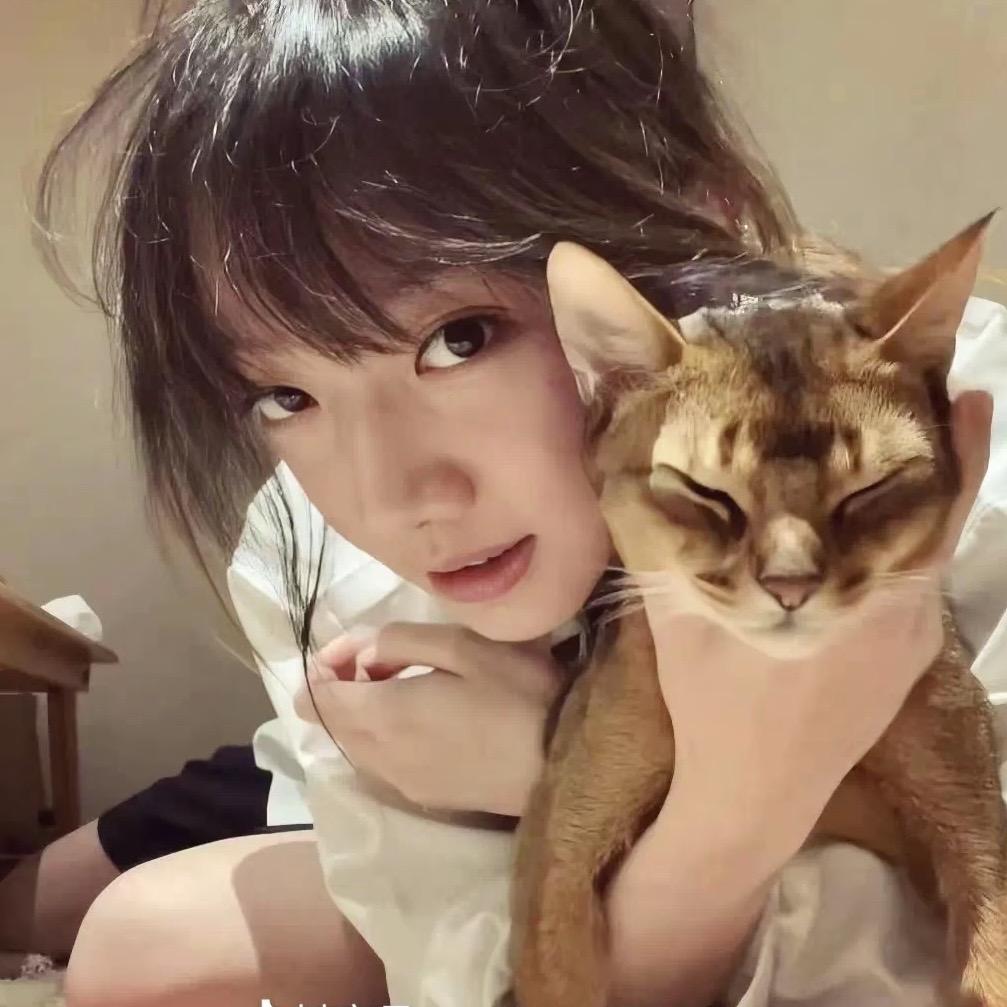 咪咪😽