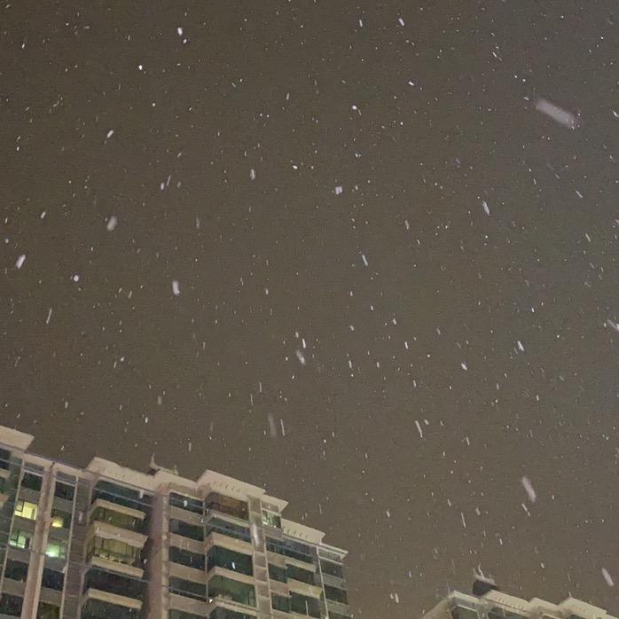 你与时光皆薄凉@