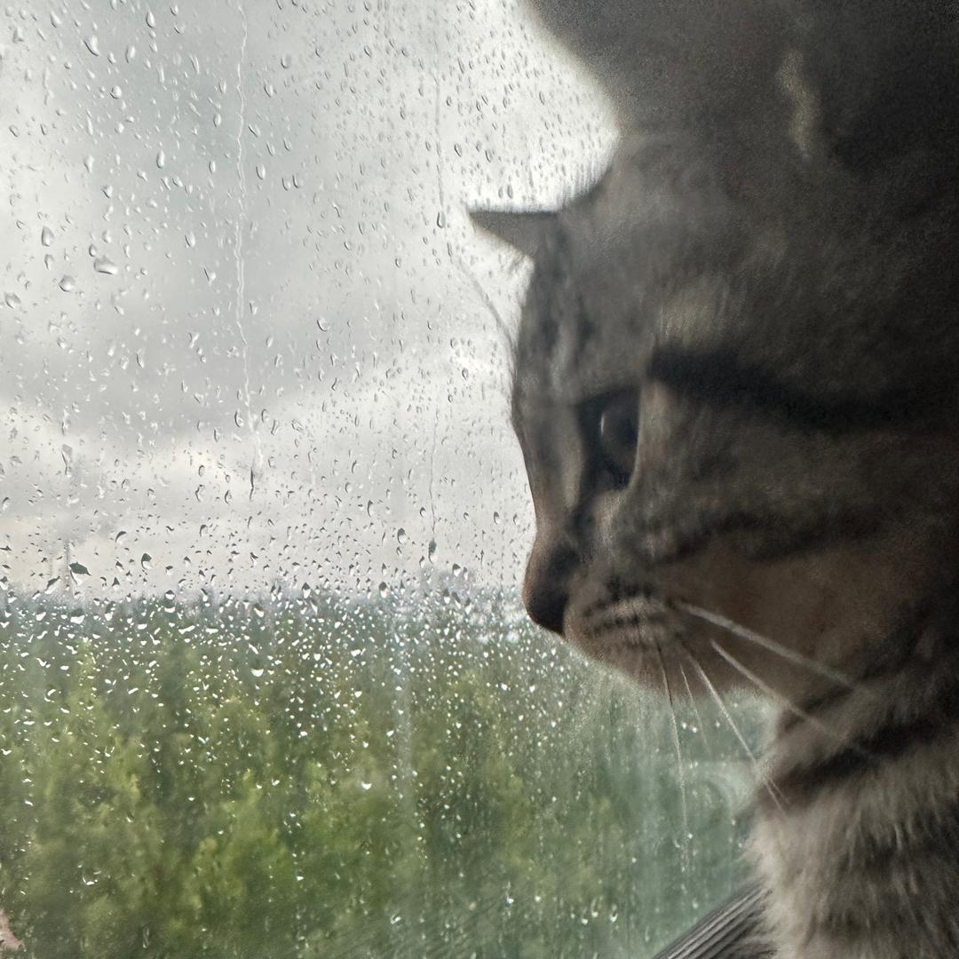 大力艾莎莎莎莎莎