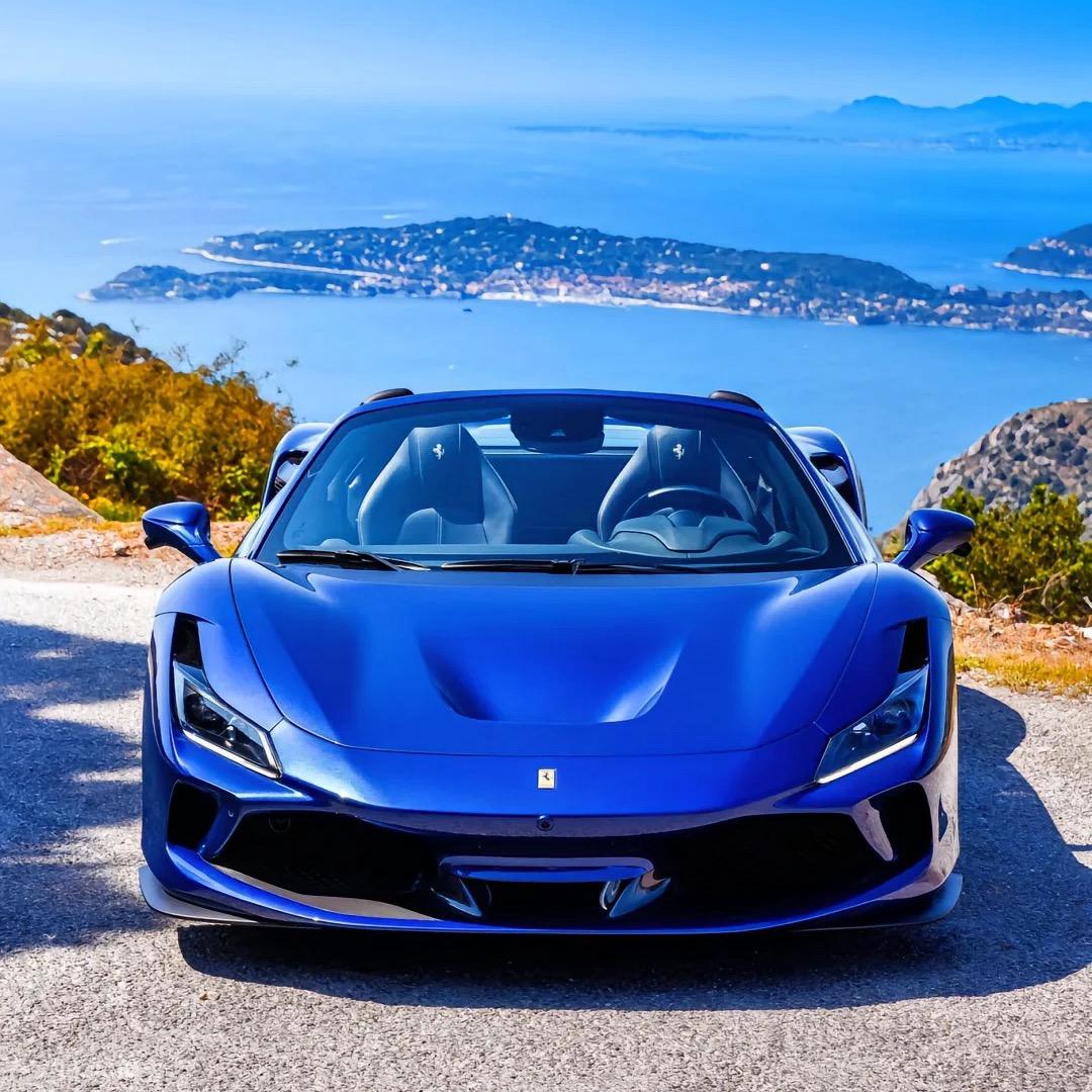 花开富贵。。。。