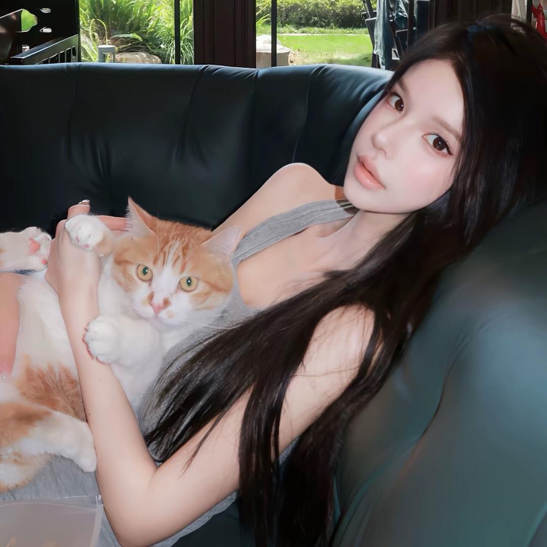 K提猫