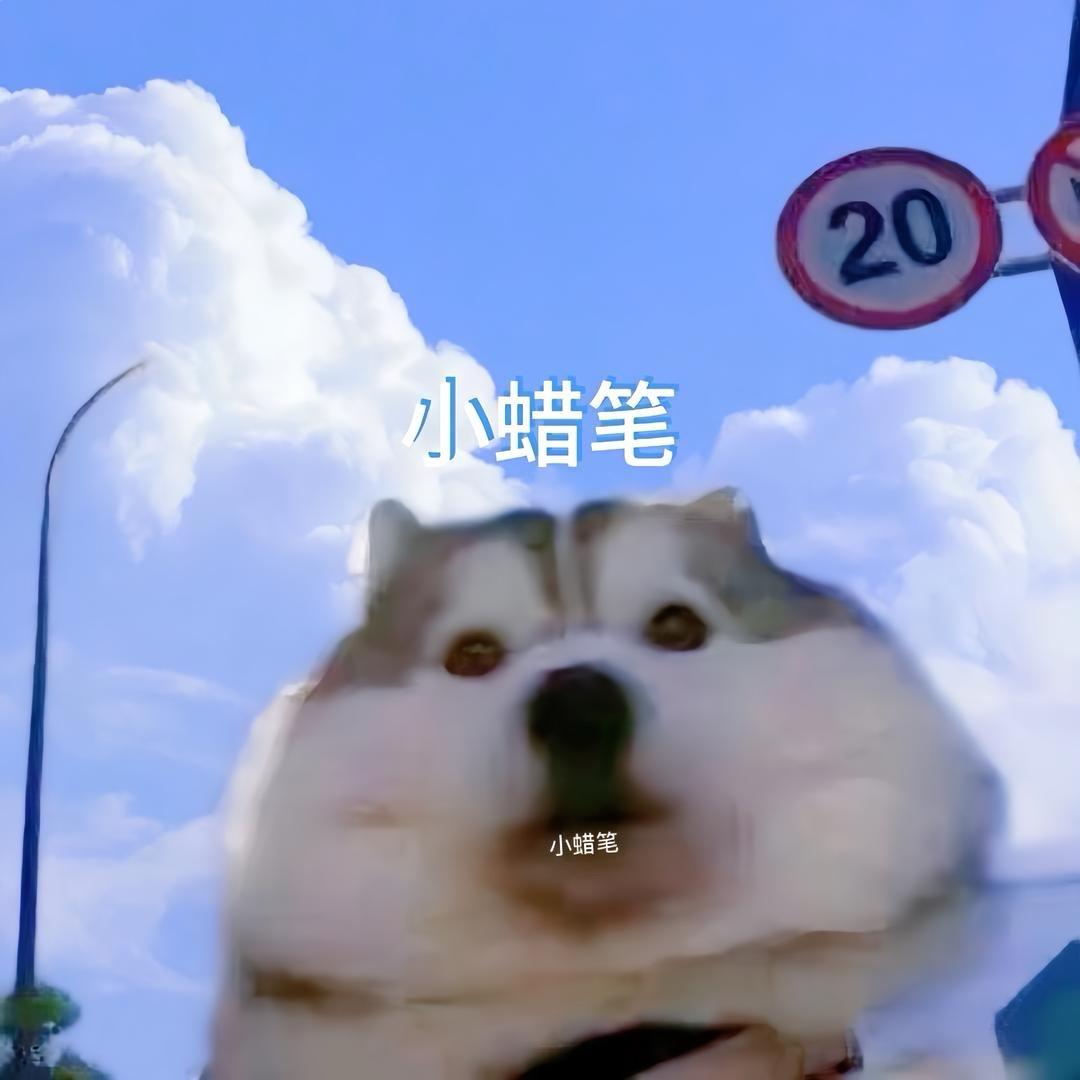 小蜡笔ㅤ