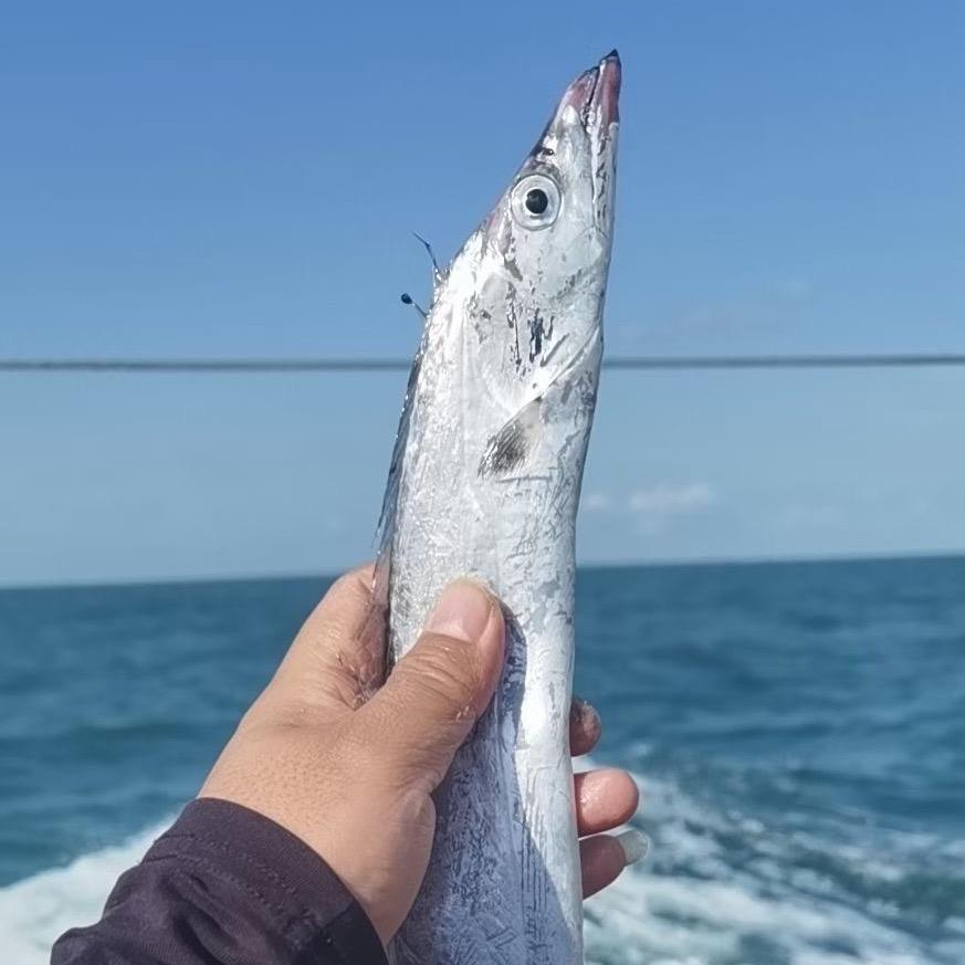 .圣洋海鲜精选（风咸带鱼）