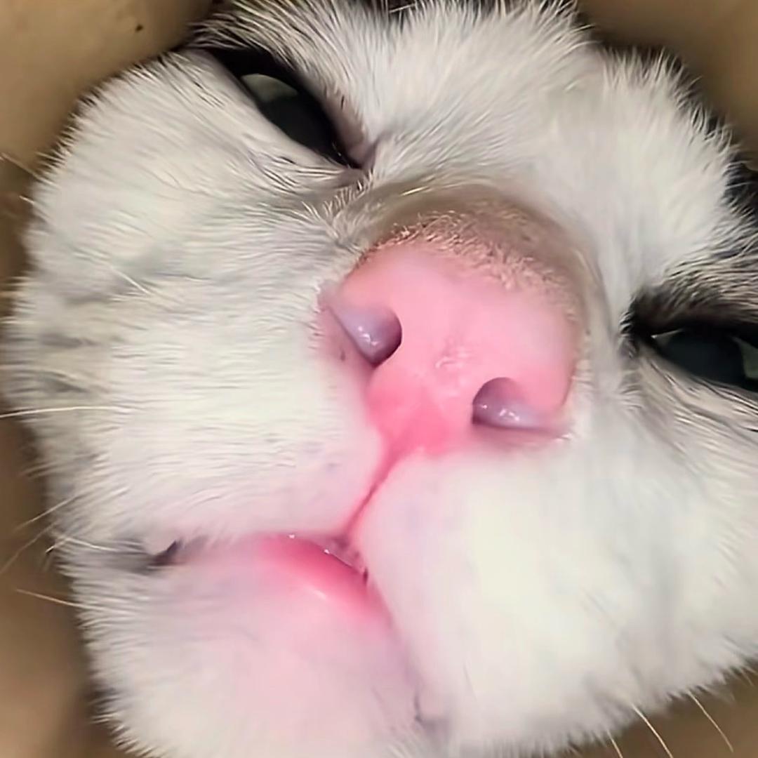 菡什么🍧