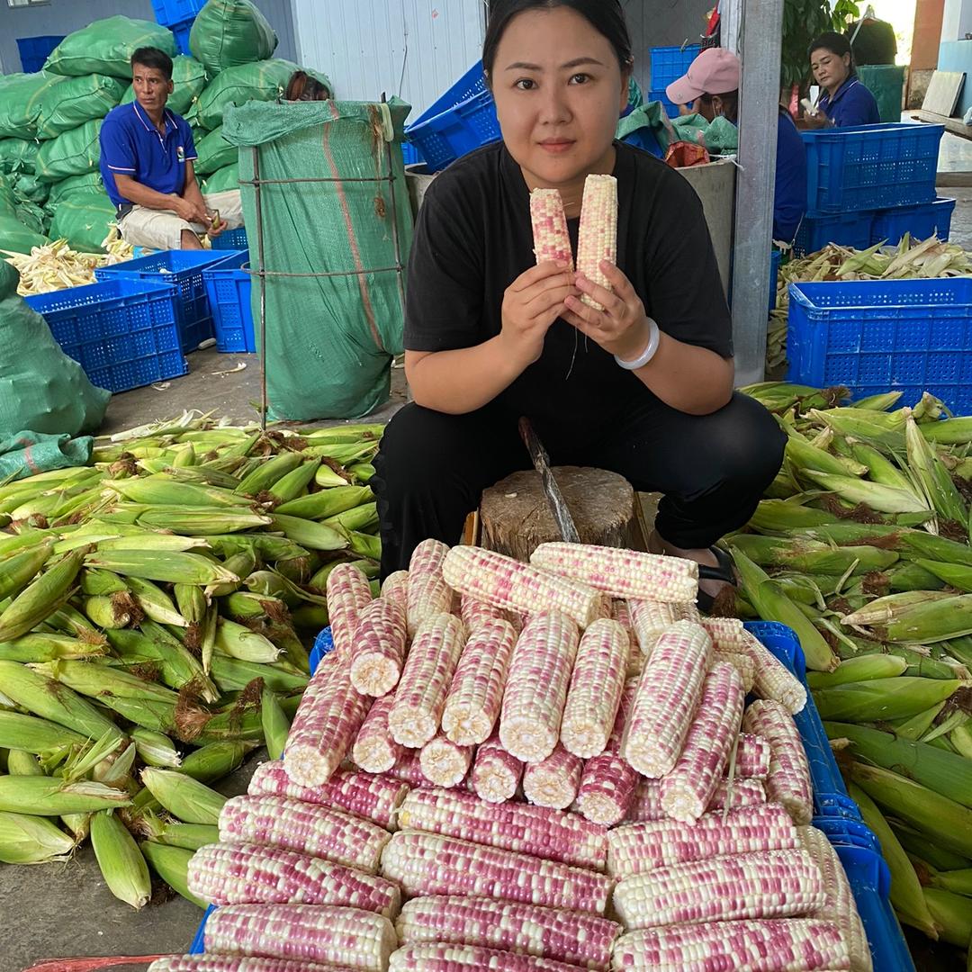 阿董家的农产品