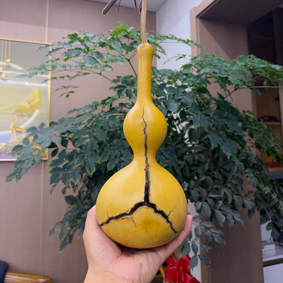 大帥文玩葫芦