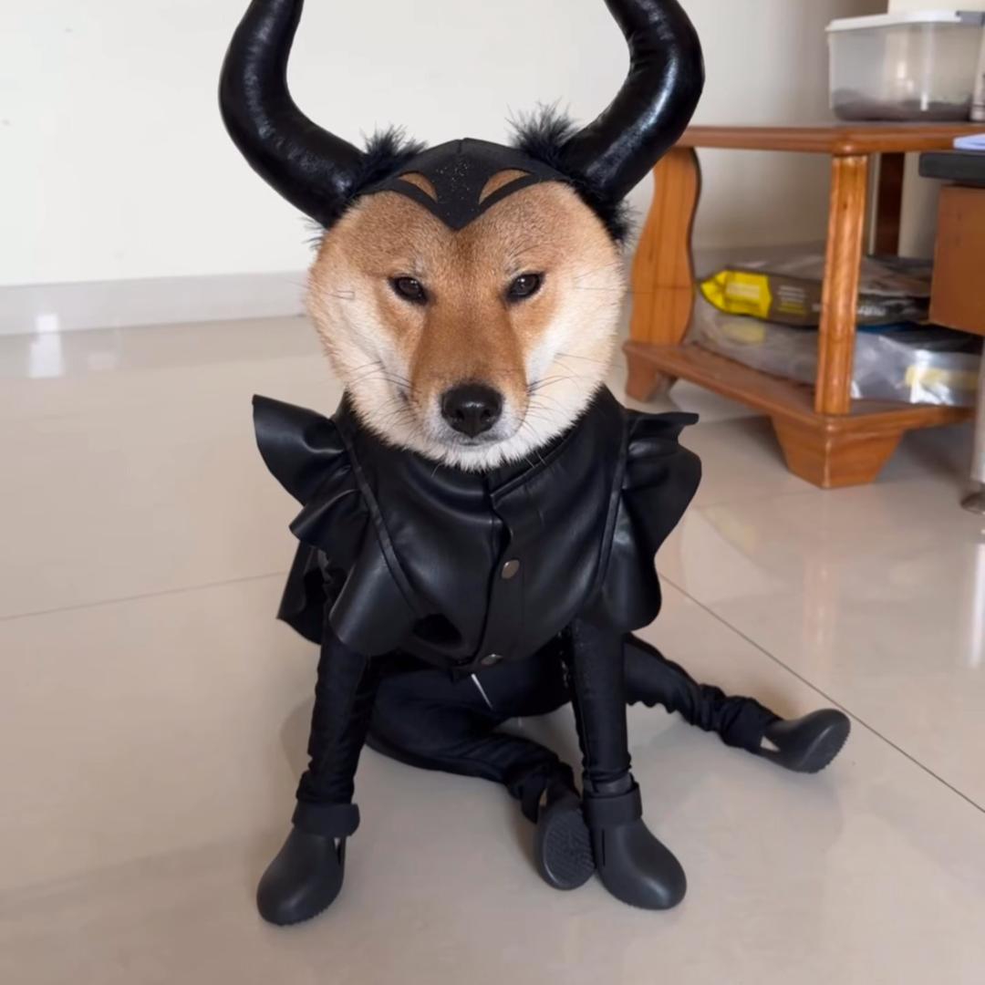 bot