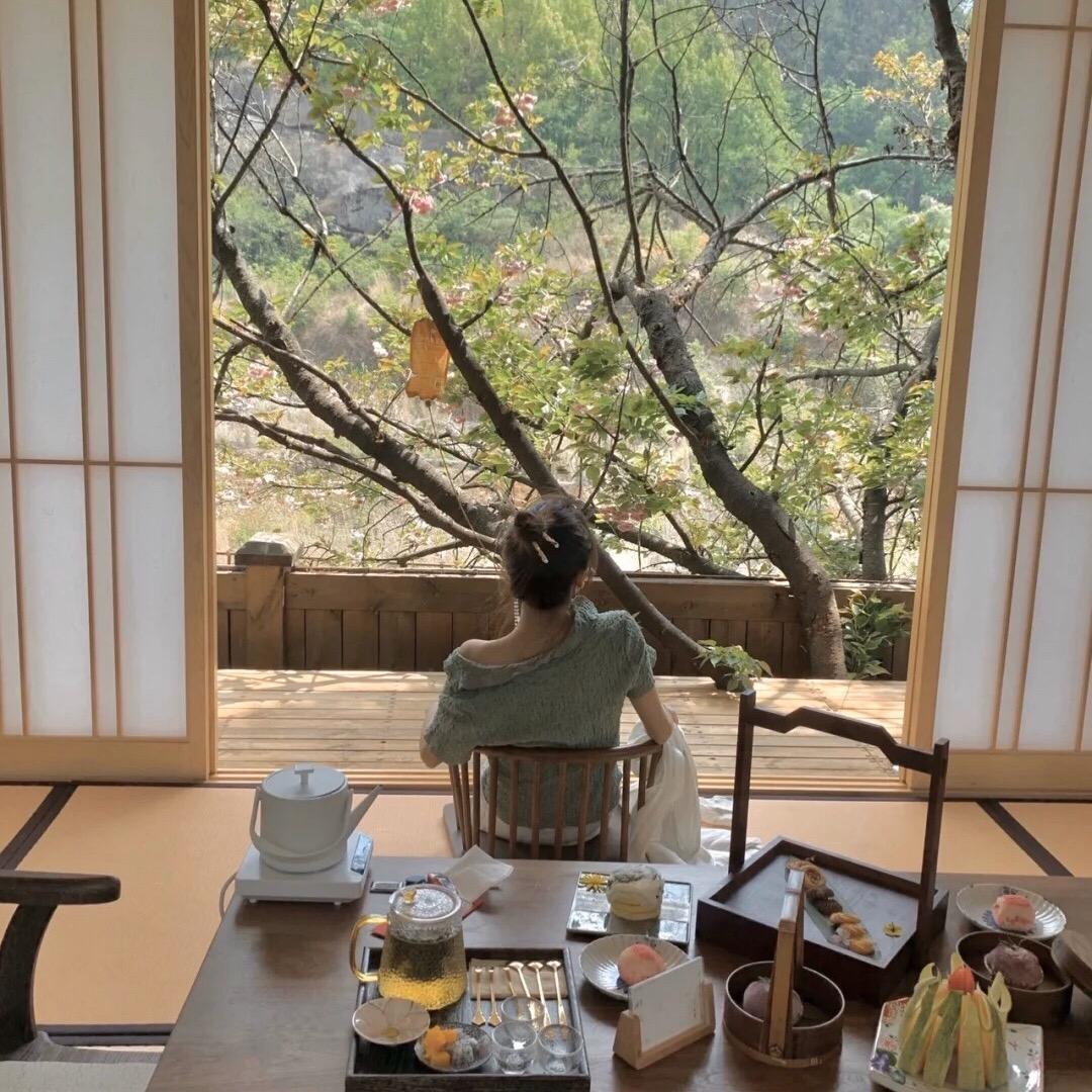 阿茶是茶呀