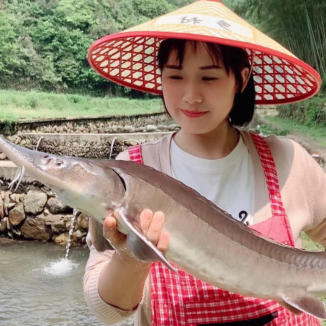 通道鲟鱼【黄真】