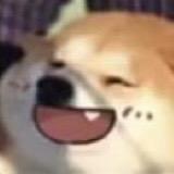 魏十七