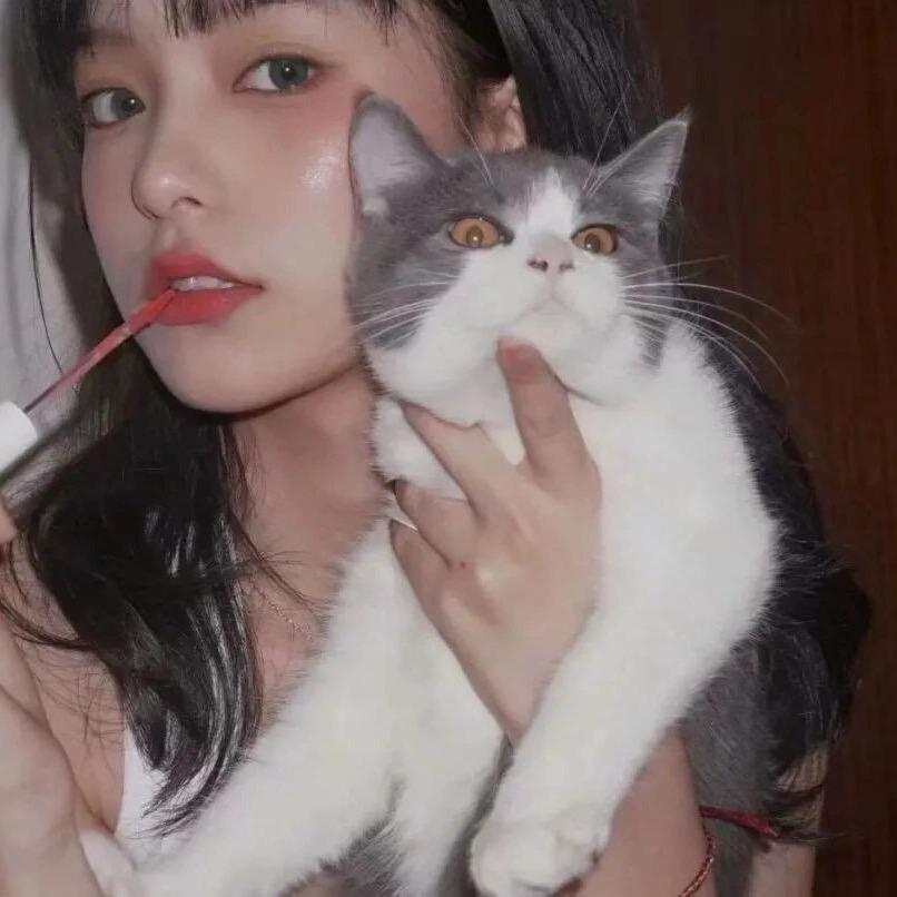 小厨滚滚