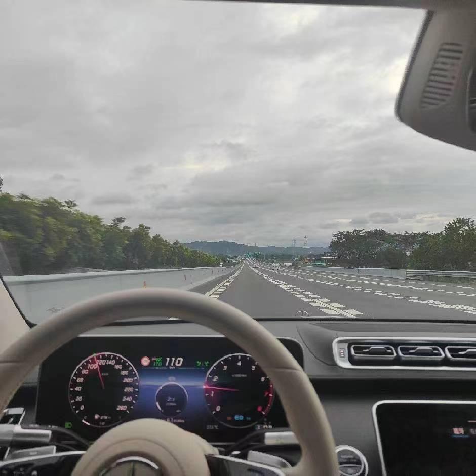 白鸽军哥🕊️666