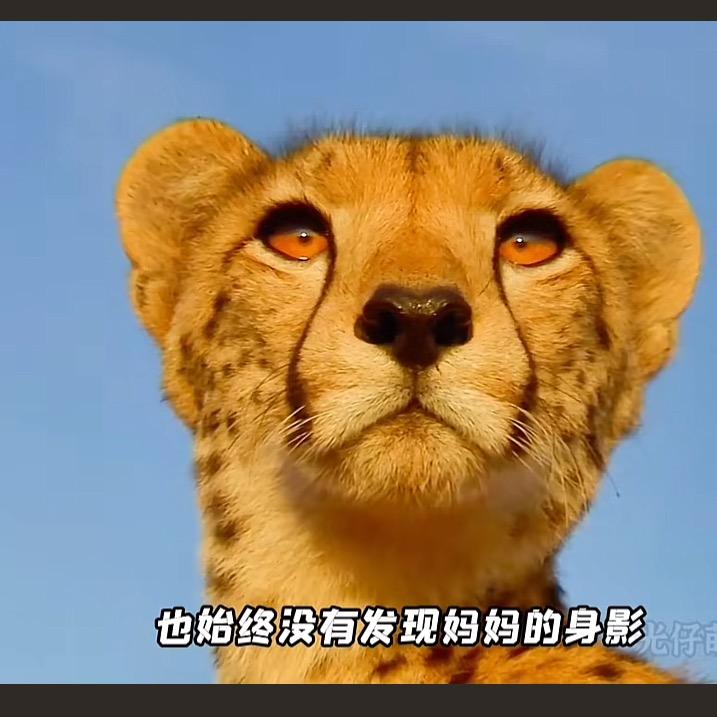林得贵
