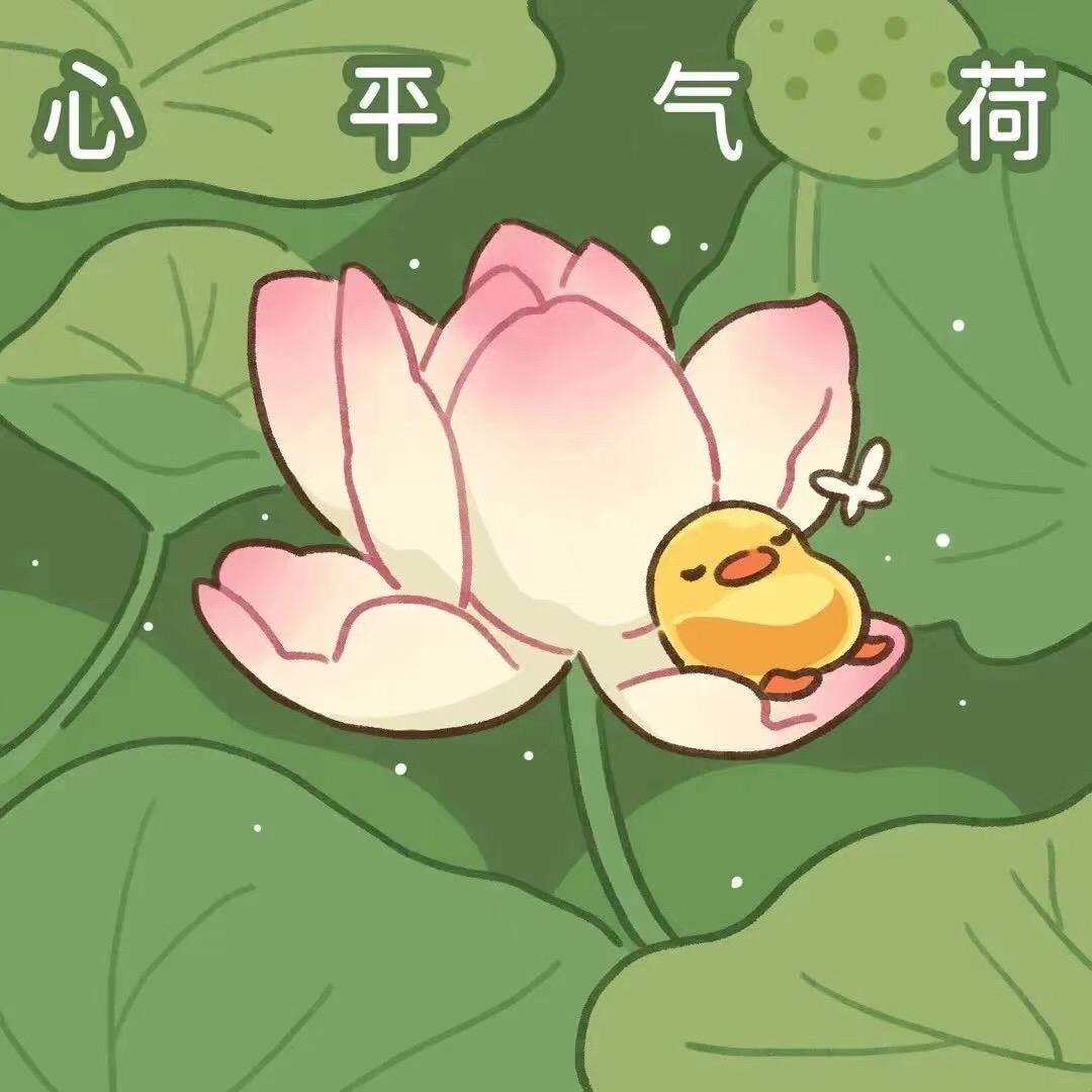 富源甄选