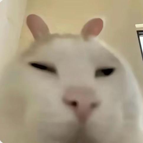 达文希